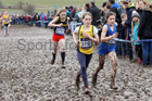 Girls under-13s 2018 British Inter Counties Cross Country Champs., Prestwold Hall, Loughborough. Photo: David T. Hewitson/Sports for All Pics